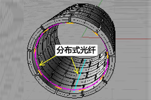 管廊結構健康與安全在線監測系統（光纖微形變）